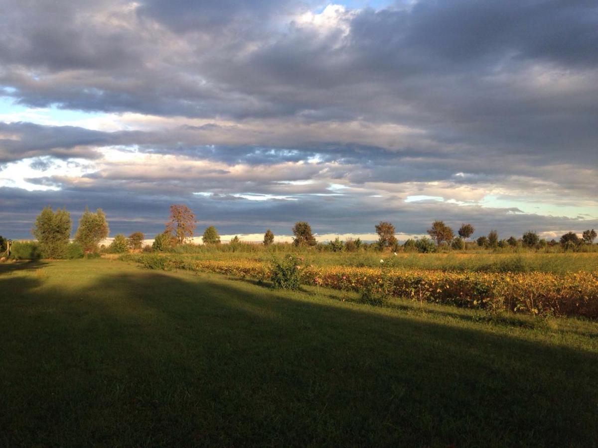 Bed and Breakfast Antica Vigna Chioggia Esterno foto