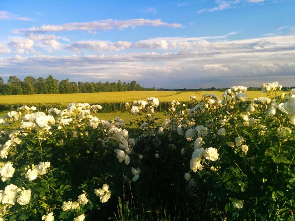 Bed and Breakfast Antica Vigna Chioggia Esterno foto